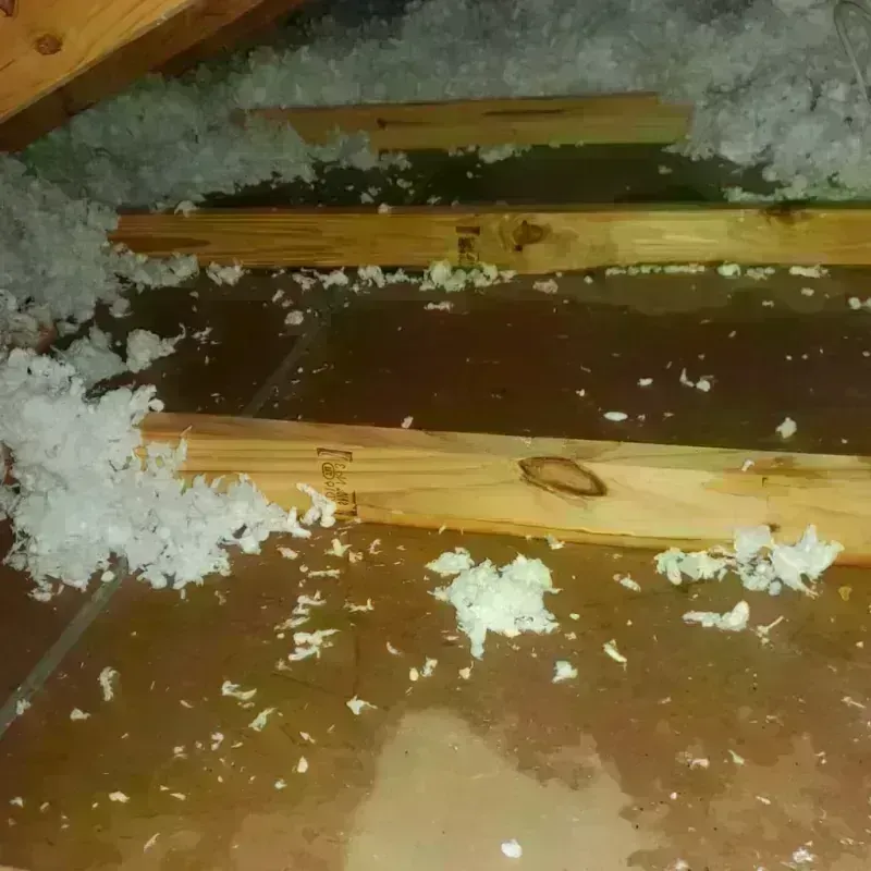 Attic Water Damage in New Whiteland, IN